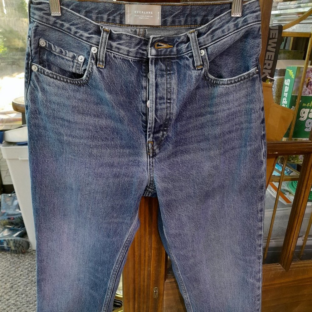 Everlane vintage mid blue 90s cheeky jean